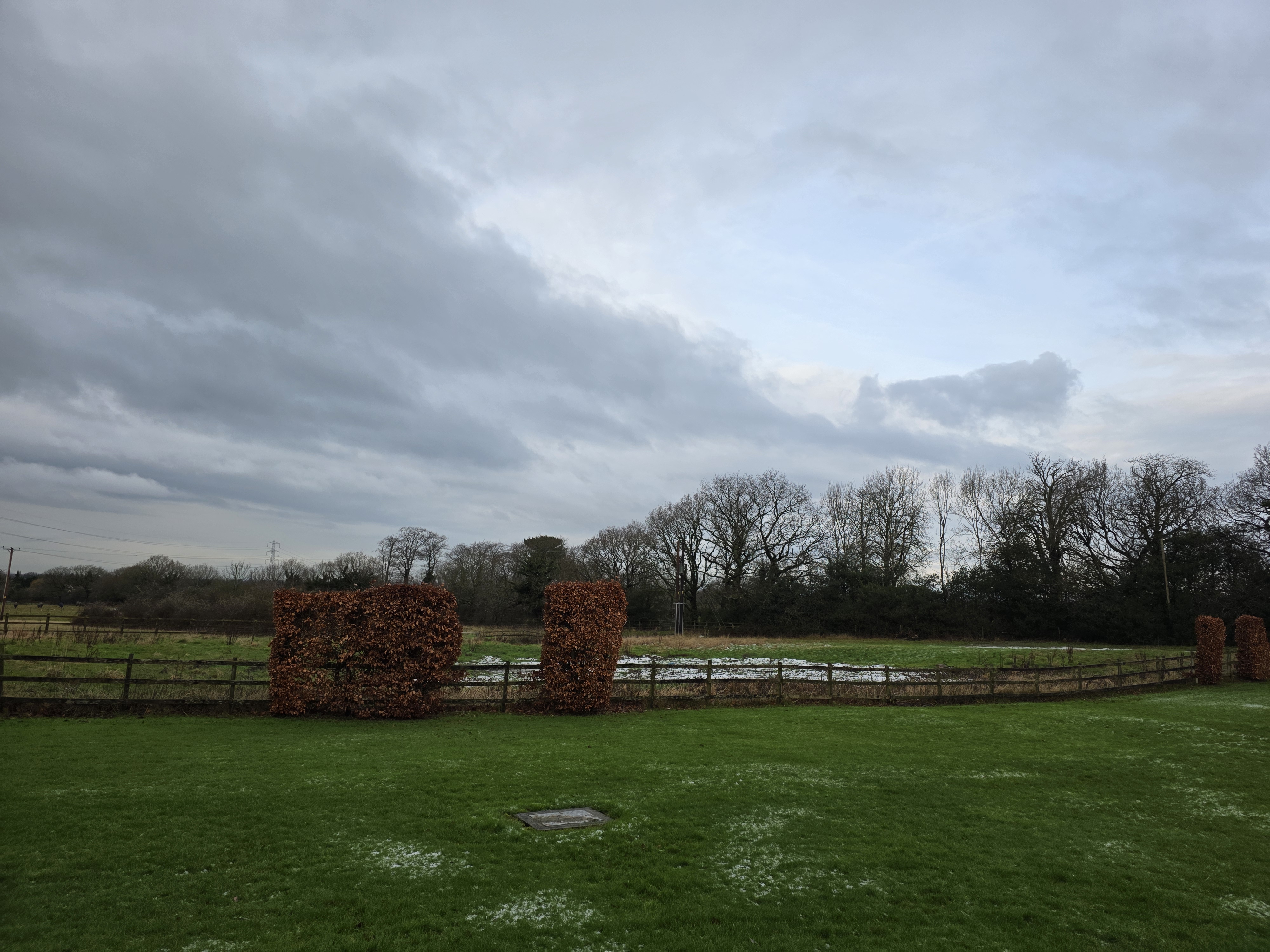 Stockport garden.jpg